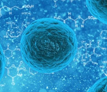 formation_experimentale_biologie_moleculaire