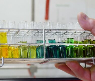 erasmus_pulse_upb_formation_en_chimie_biologie_toulouse_paul_sabatier